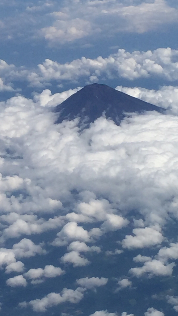 d0057701_10532954.jpg