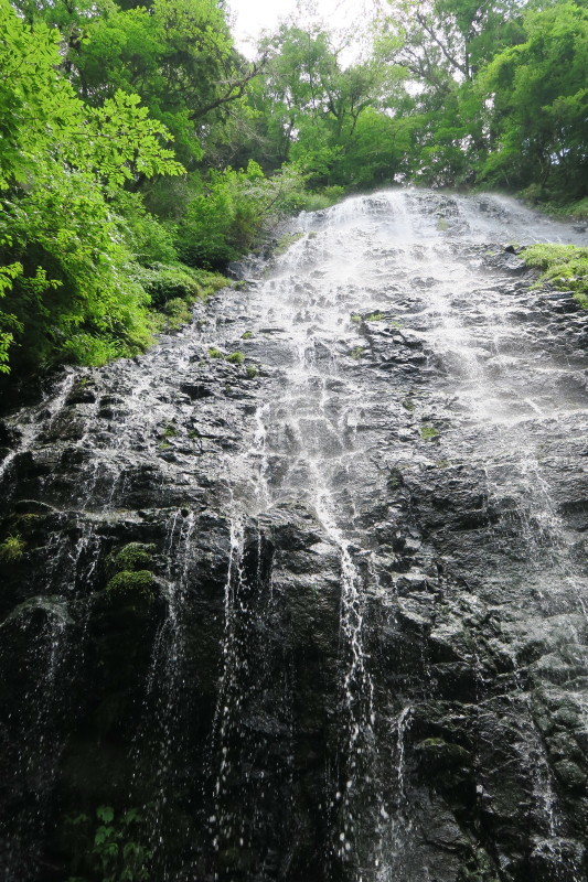 d0103314_23465430.jpg