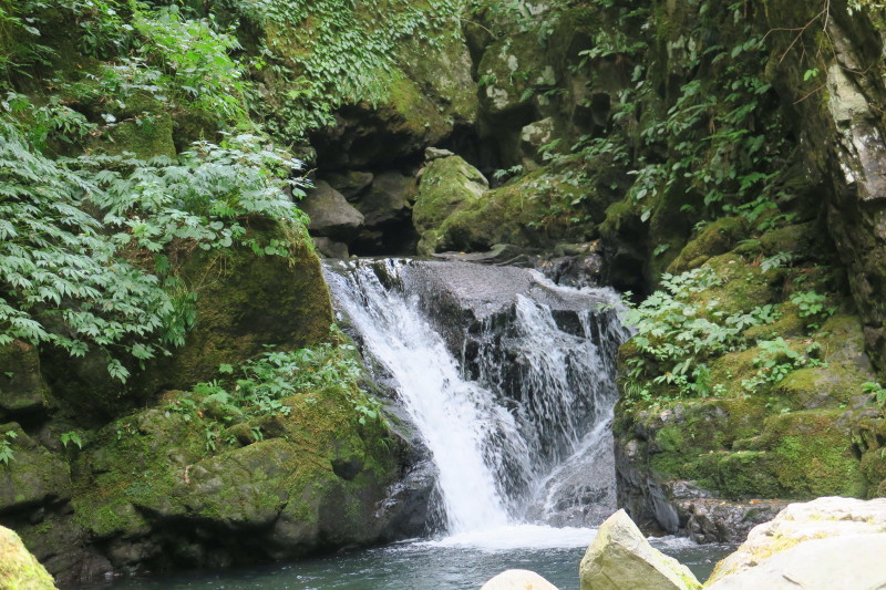 d0103314_23473317.jpg