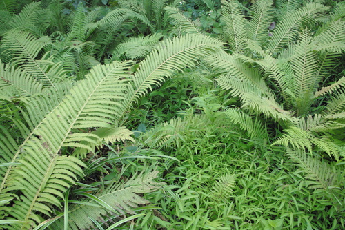b0285619_22284668.jpg