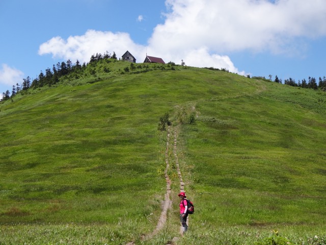 d0184619_77228.jpg