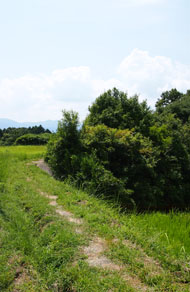 c0188928_22131994.jpg