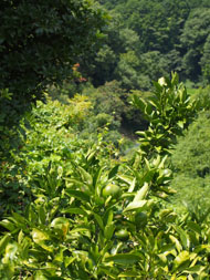 c0188928_22141963.jpg