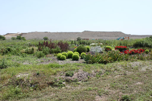 f0147037_2328597.jpg