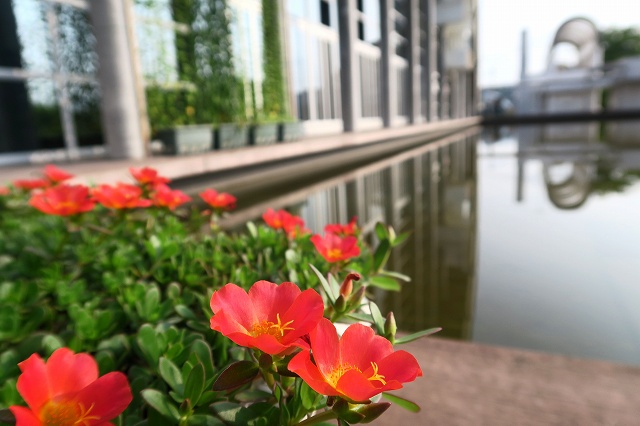 a0242438_1843330.jpg