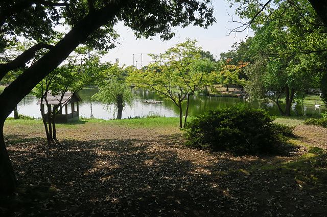 a0242438_18435684.jpg