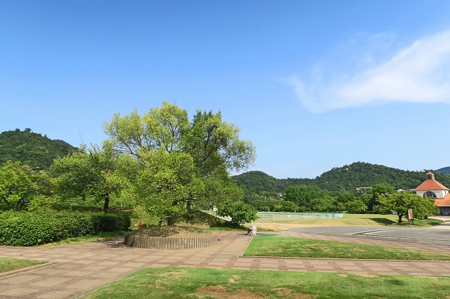a0242438_18451595.jpg