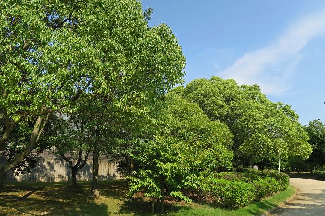 a0242438_1845209.jpg