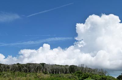 c0019338_13245229.jpg