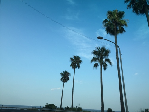 e0288544_12405845.jpg