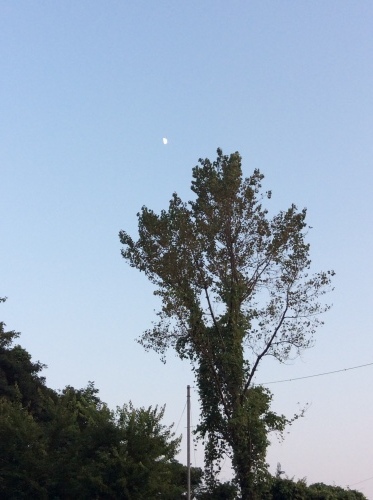 c0340351_16122860.jpeg