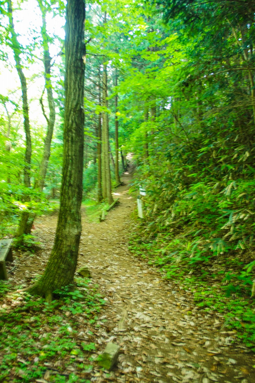 c0260264_14324251.jpg