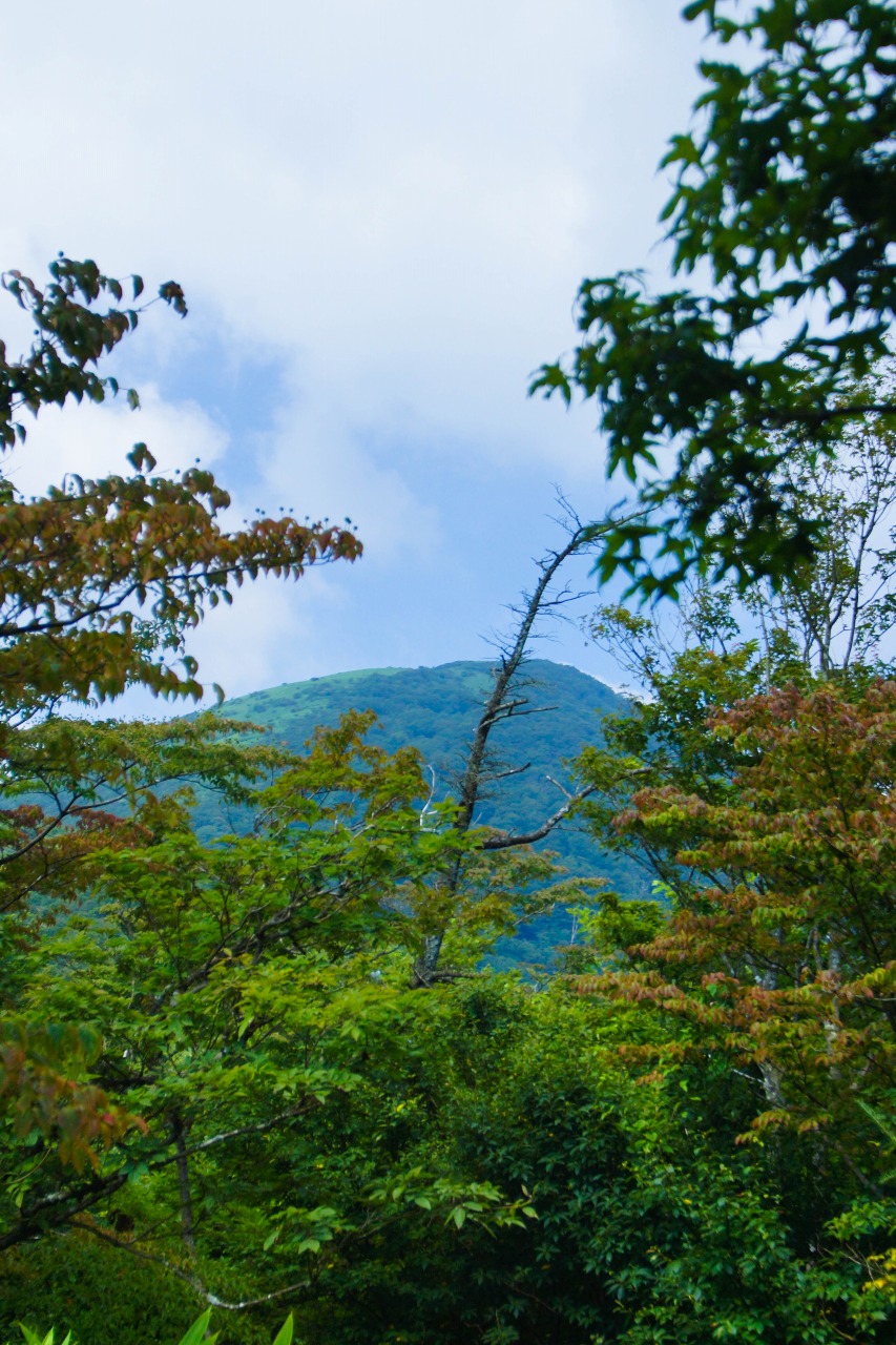 c0260264_14353546.jpg