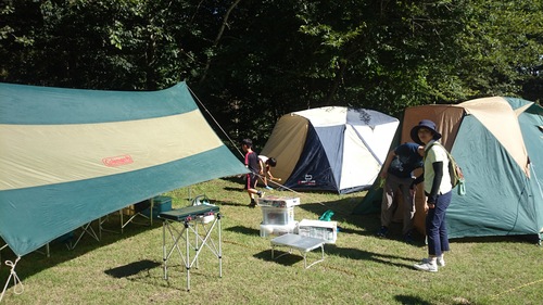 f0139466_22144417.jpg