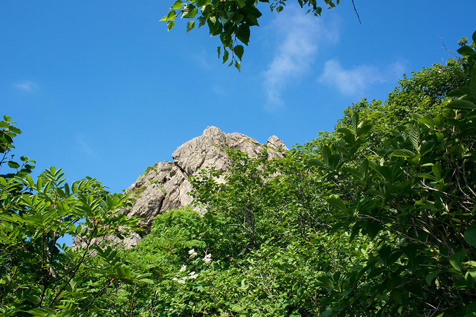 f0109977_10003791.jpg