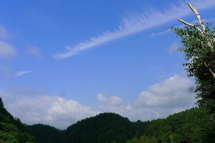 a0130586_8425966.jpg