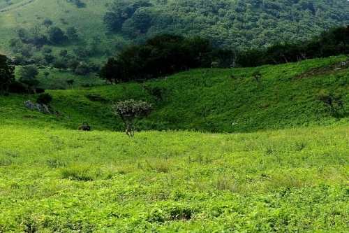 e0304001_22254257.jpg