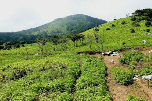 e0304001_22254819.jpg