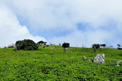 e0304001_22255400.jpg