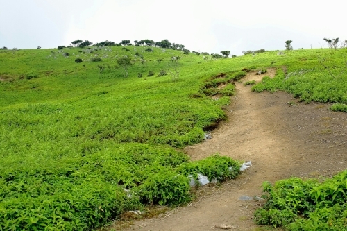 e0304001_22255724.jpg