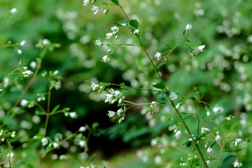 e0304001_22334513.jpg
