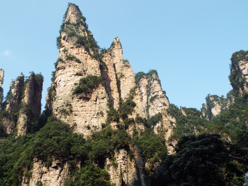 a0185010_1775087.jpg