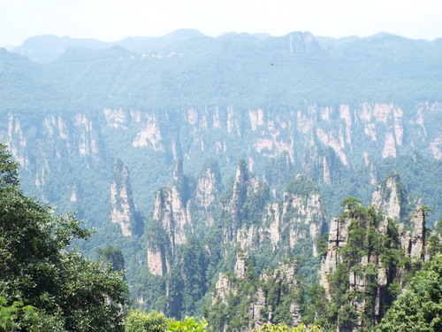 a0185010_1783761.jpg