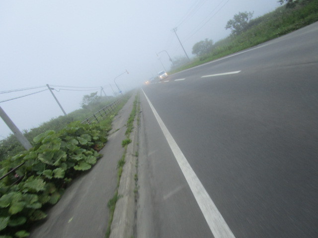 c0292312_21483685.jpg