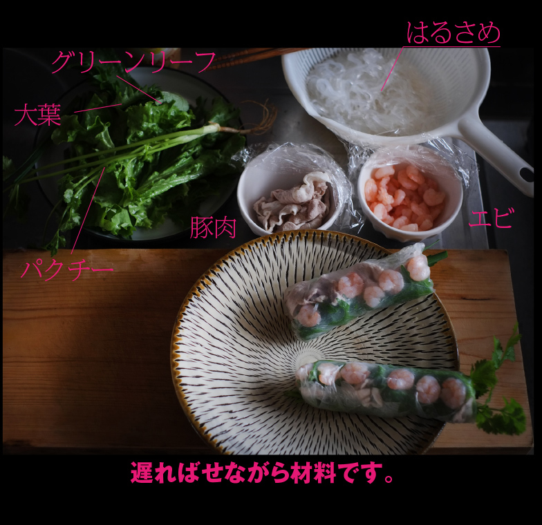 a0358016_15243609.jpg
