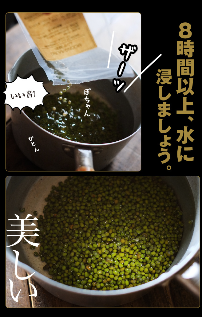 a0358016_15330015.jpg