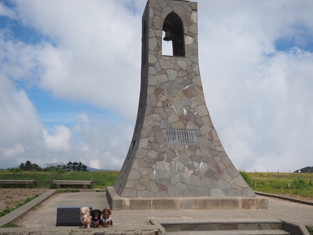 c0117831_21275533.jpg