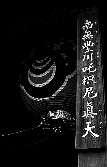 d0001533_10322939.jpg