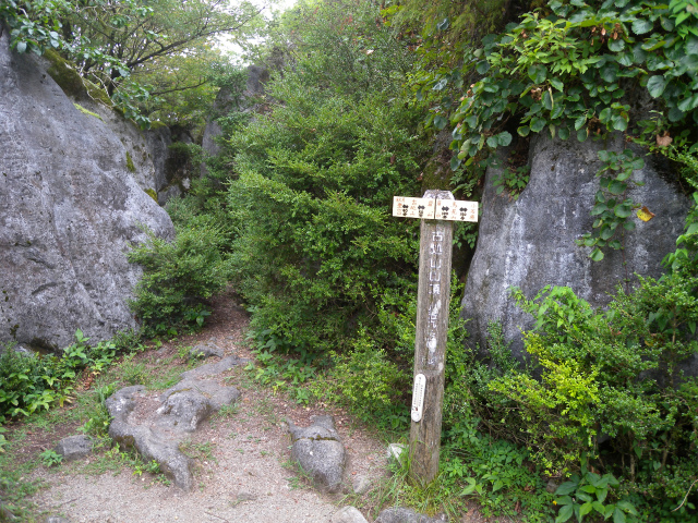 e0272335_2058957.jpg