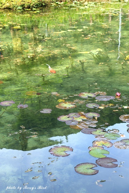 e0173743_22062101.jpg