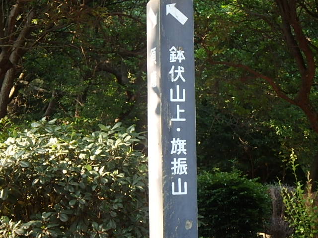 f0334143_1953663.jpg