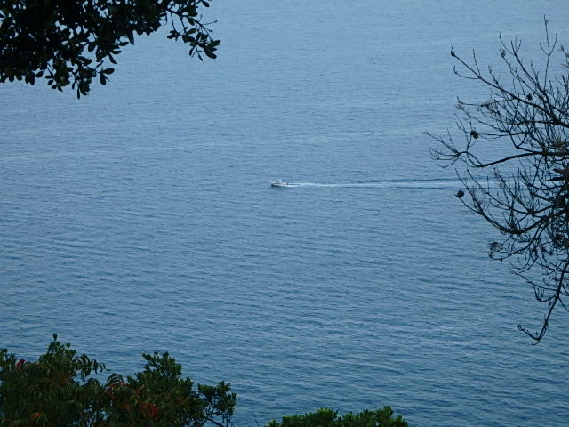 f0334143_19616100.jpg