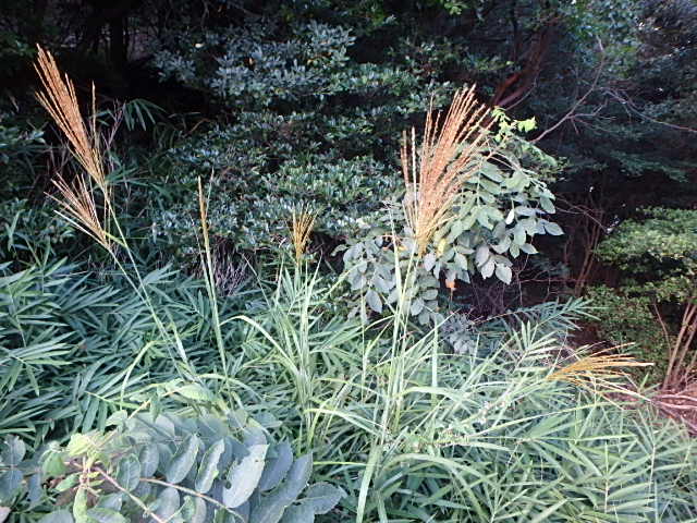 f0334143_197640.jpg