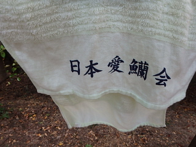 f0334143_1994683.jpg