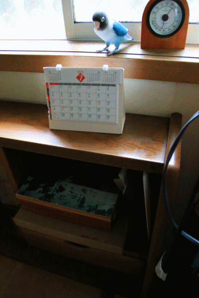 c0145250_10315494.gif