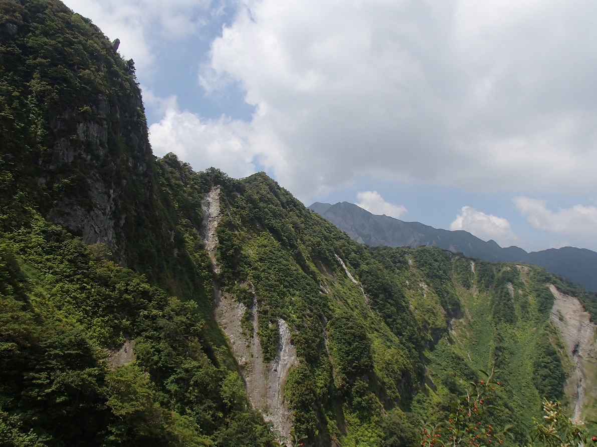 d0007657_1719876.jpg