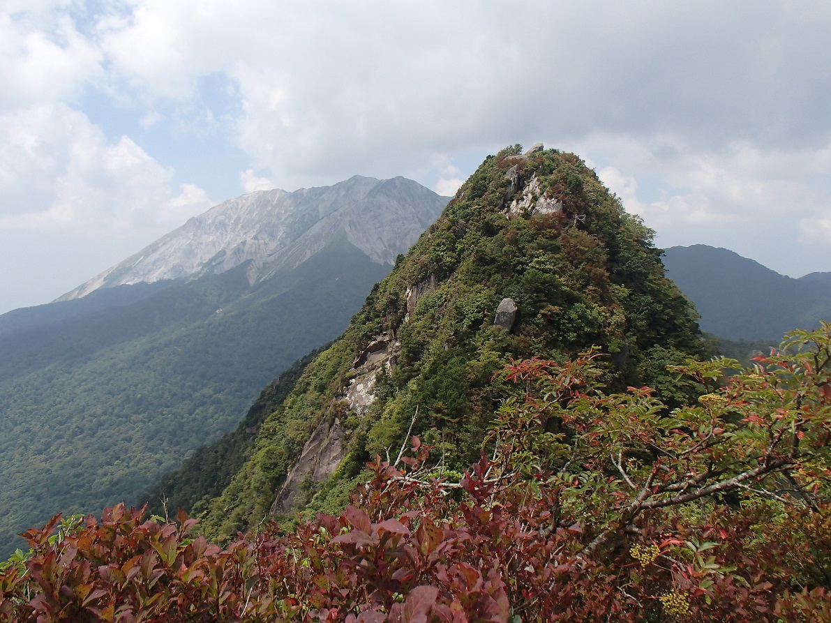 d0007657_17222910.jpg