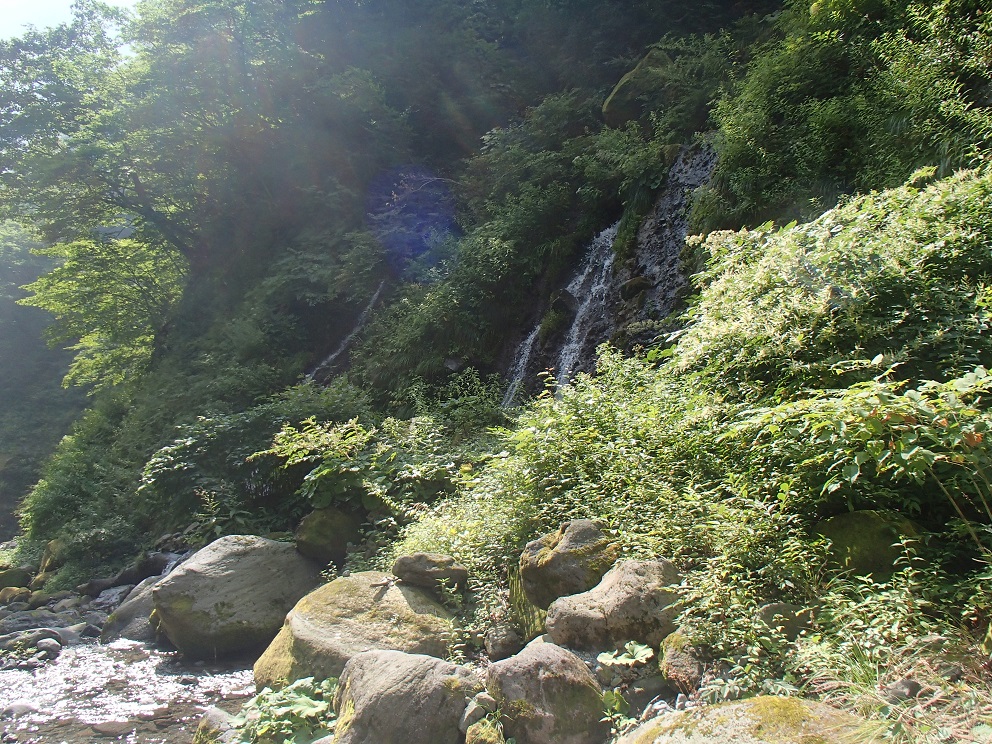 d0007657_1742325.jpg