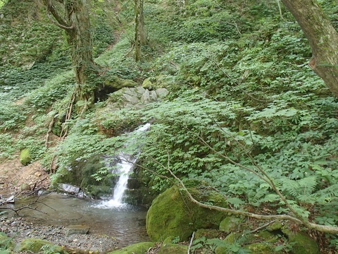 d0007657_1753655.jpg