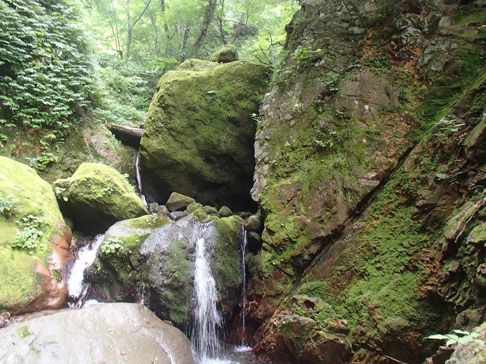 d0007657_1771738.jpg