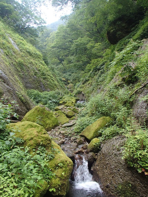 d0007657_178622.jpg