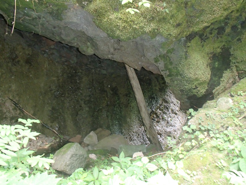 d0007657_179498.jpg