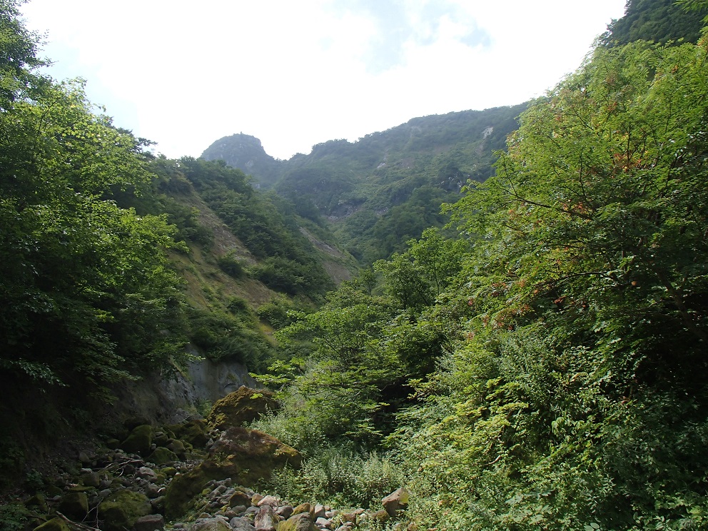 d0007657_1795597.jpg