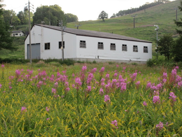 d0010065_10152488.jpg