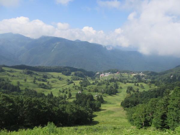 d0010065_10162415.jpg