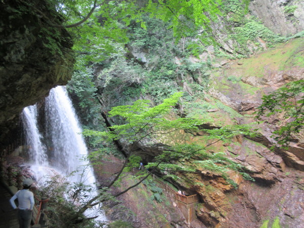 d0010065_10173497.jpg